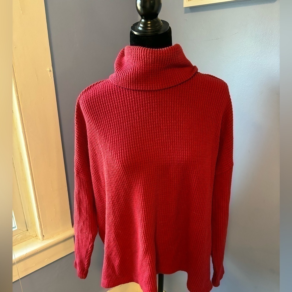 Red Old Navy, waffle knit turtleneck